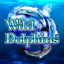 Wild Dolphins