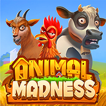 Animal Madness